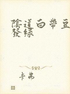 阴道白带豆腐渣发绿