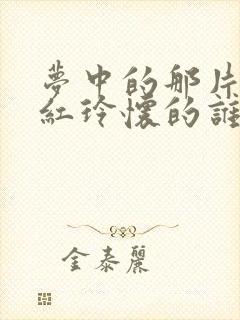 梦中的那片海贺红玲怀的谁的孩子