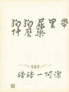 狗狗尿里带血吃什么药