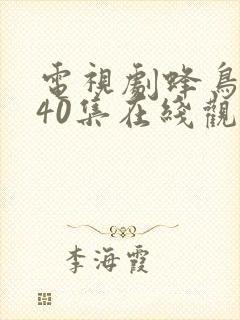 电视剧蜂鸟1至40集在线观看