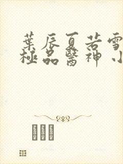 叶辰夏若雪都市极品医神 小说