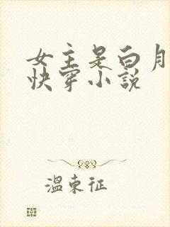女主是白月光的快穿小说封面