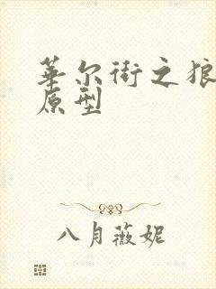 华尔街之狼电影原型