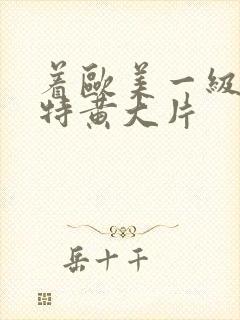 着欧美一级特黄特黄大片封面