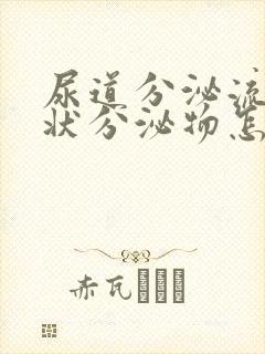 尿道分泌流黄脓状分泌物怎么回事封面