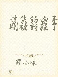 消失的凶手段志刚被谁杀了