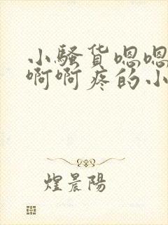 小骚货嗯嗯嗯啊啊啊疼的小说