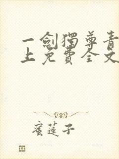 一剑独尊青鸾峰上免费全文下载txt封面