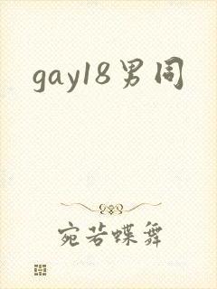gay18男同