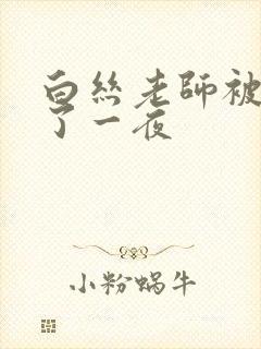 白丝老师被我操了一夜