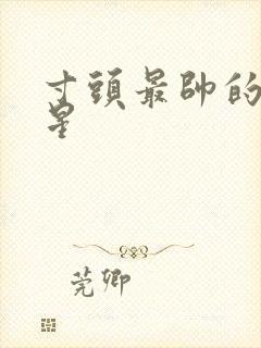 寸头最帅的男明星