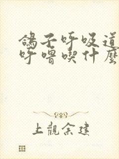 鸽子呼吸道呼噜呼噜吃什么药好