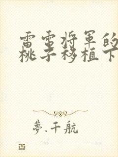 雷电将军的惩罚桃子移植下载