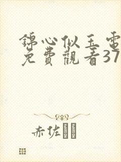 锦心似玉电视剧免费观看37集