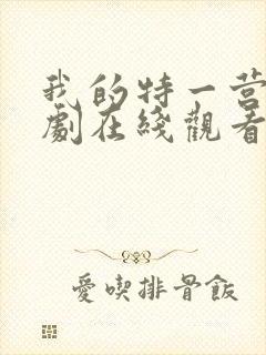 我的特一营电视剧在线观看封面