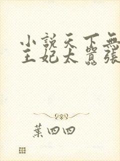 小说天下无双之王妃太嚣张