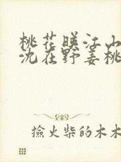 桃花映江山原著沈在野姜桃花全文免费阅读