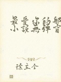 最爱你的那十年小说无弹窗