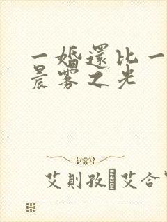 一婚还比一婚高晨雾之光封面