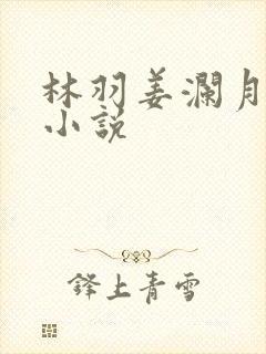 林羽姜澜月玄幻小说