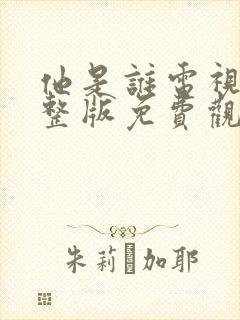 他是谁电视剧完整版免费观看高清