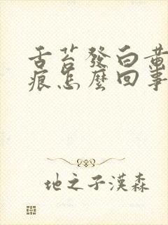 舌苔发白黄有齿痕怎么回事