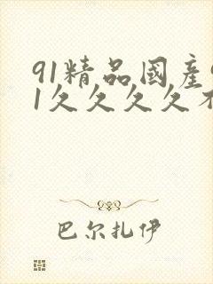91精品国产91久久久久不卡