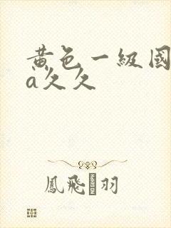 黄色一级国产片a久久