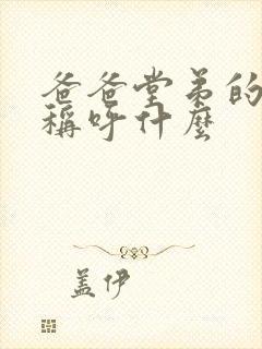 爸爸堂弟的老婆称呼什么