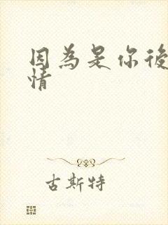 因为是你后续剧情