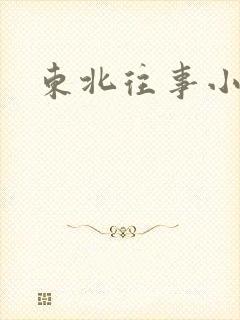 东北往事小说