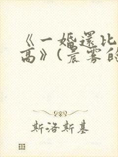 《一婚还比一婚高》(晨雾的光)小说免封面