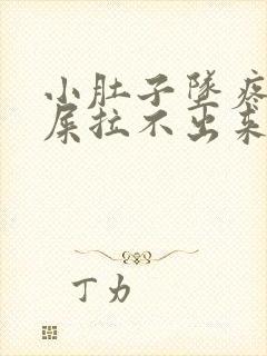 小肚子坠疼想拉屎拉不出来