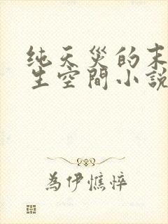 纯天灾的末世重生空间小说封面