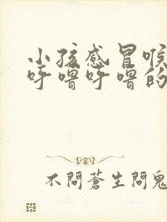 小孩感冒喉咙里呼噜呼噜的声音怎么办封面