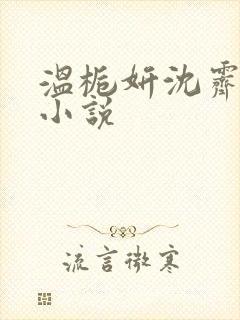 温栀妍沈霁寒的小说封面