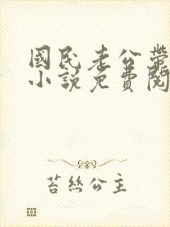 国民老公带回家小说免费阅读全文