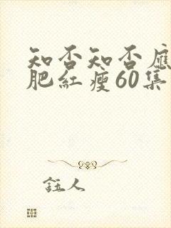 知否知否应是绿肥红瘦60集