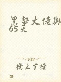 黑帮大佬与我365天