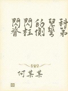 闪闪的儿科医生脊柱侧弯第几集