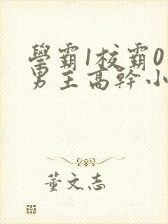 学霸1校霸0双男主高干小说