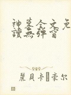 神墓全文免费阅读无弹窗