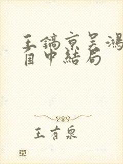 王镐京吴鸿影沈自中结局封面