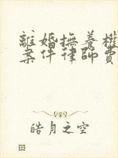 离婚抚养权纠纷案件律师费