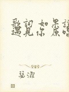 歌词 如果让我遇见你 原唱