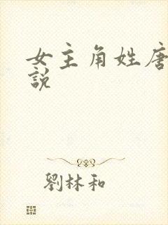 女主角姓唐的小说