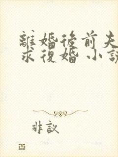 离婚后前夫哭着求复婚 小说阅读封面