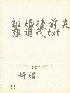 离婚后前夫总是想追我txt