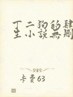 丁二狗的肆意人生小说无删减