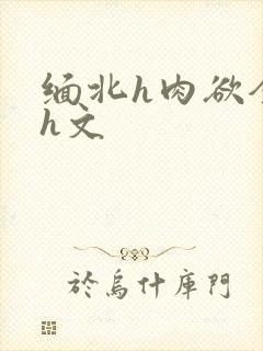 缅北h肉欲全黄h文